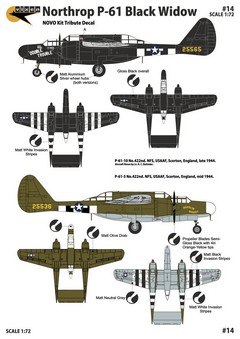 VX14 1/72 Nothrop P-61A Black Widow