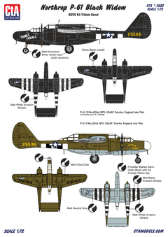 CTA-099 1/72 Nothrop P-61A Black Widow